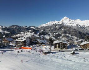 Le Cernix - Cohennoz 