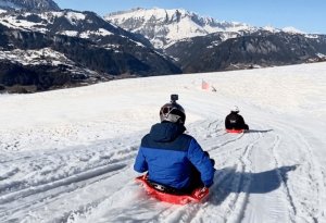 luge